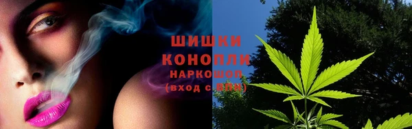бутират Мегион