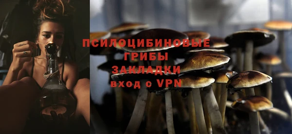 бутират Мегион