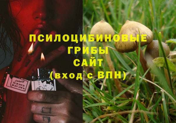 тгк Медвежьегорск